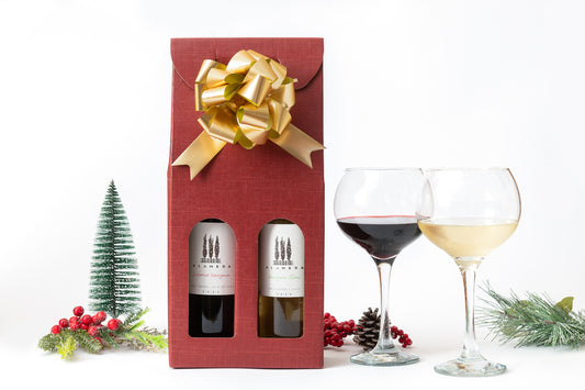 Chilean Two Bottle Wine Pack
